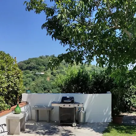 Il Giardino Appartement