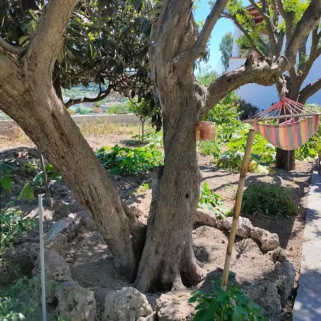 Il Giardino Lejlighed *