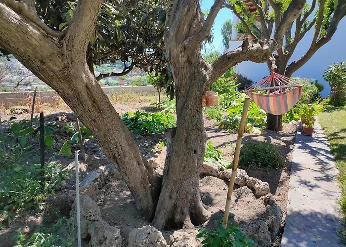 Il Giardino Apartament *